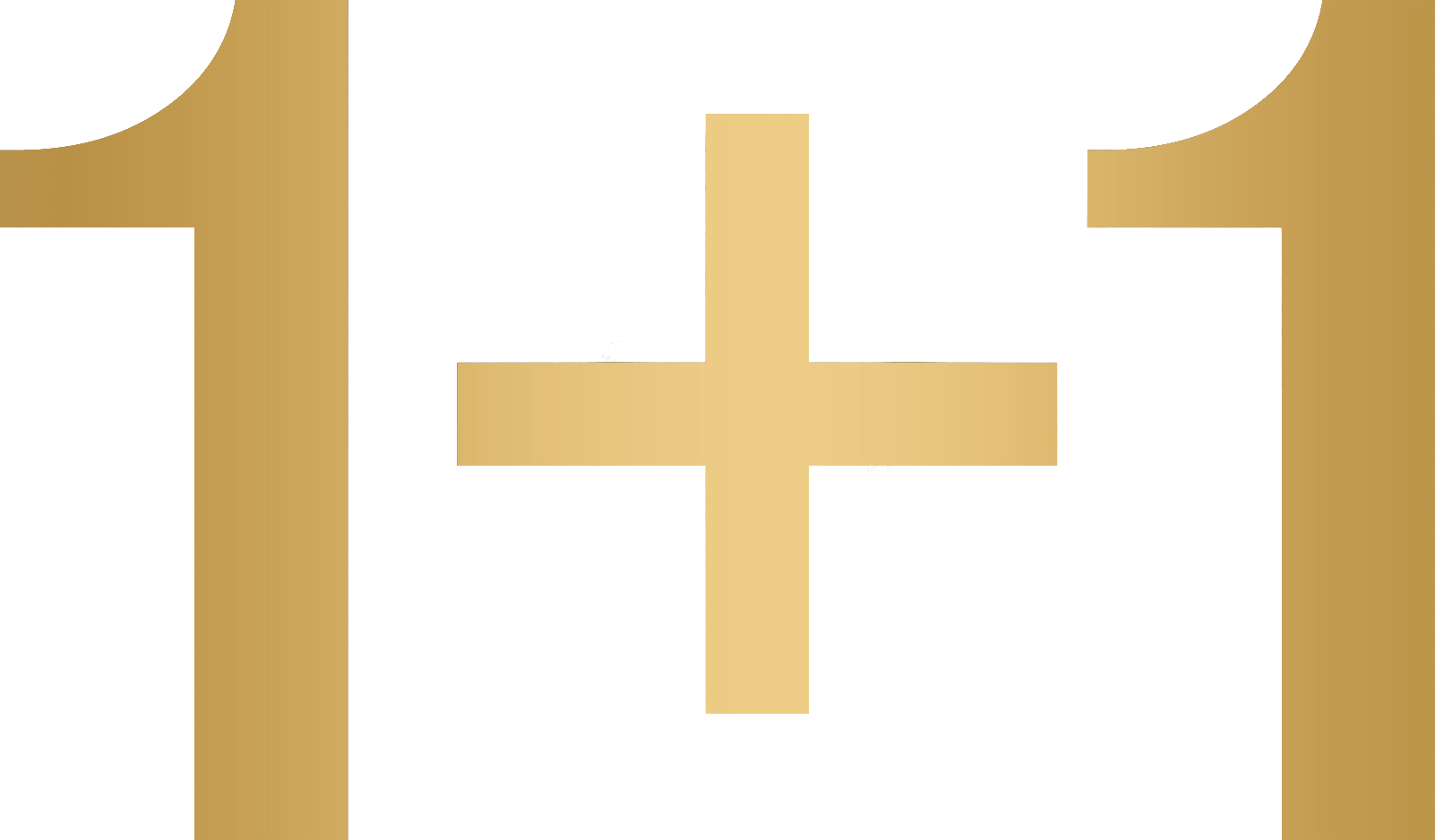 1+1